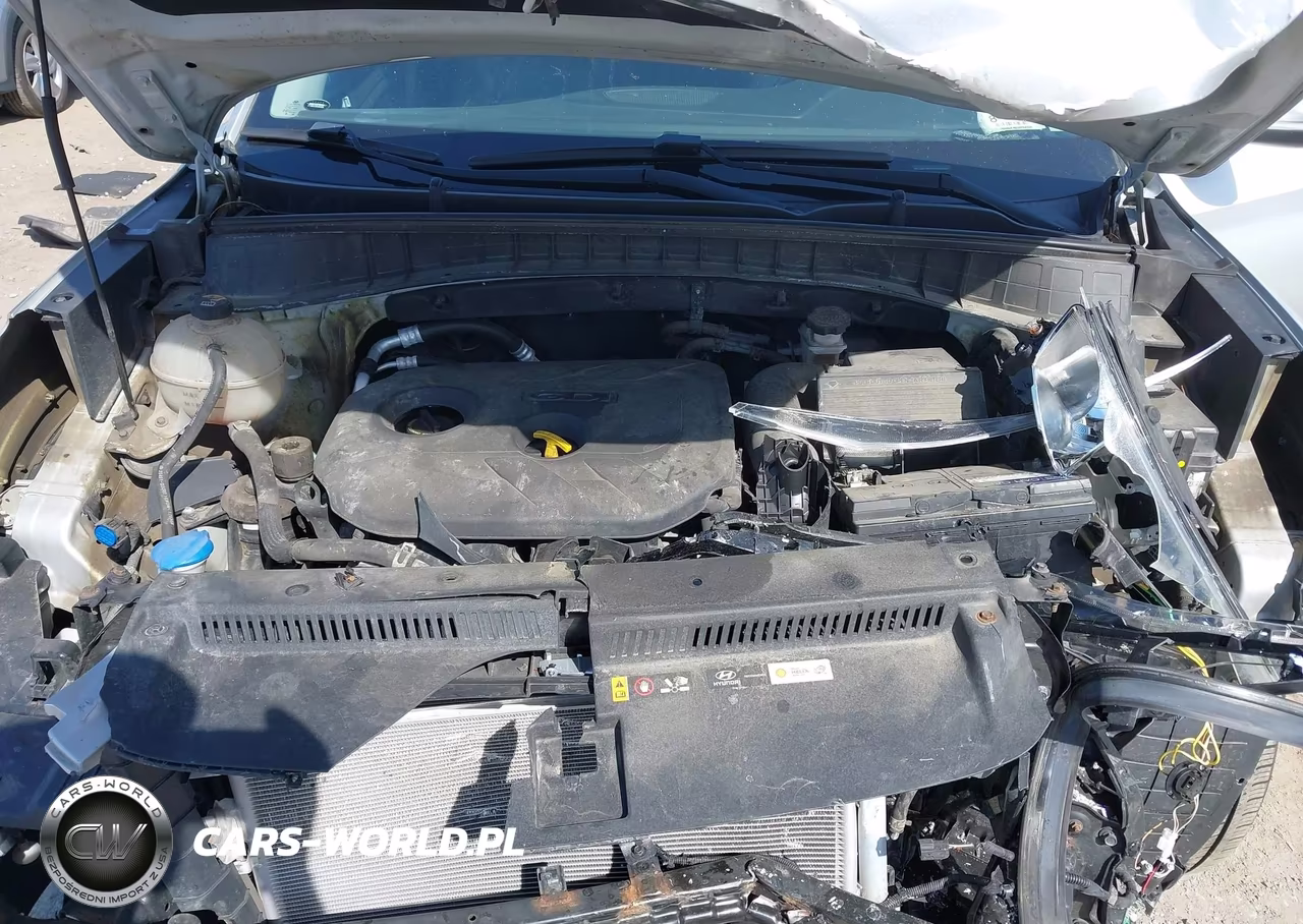 2017 Hyundai Tucson Se Plus VIN:KM8J3CA46HU454896 - 10