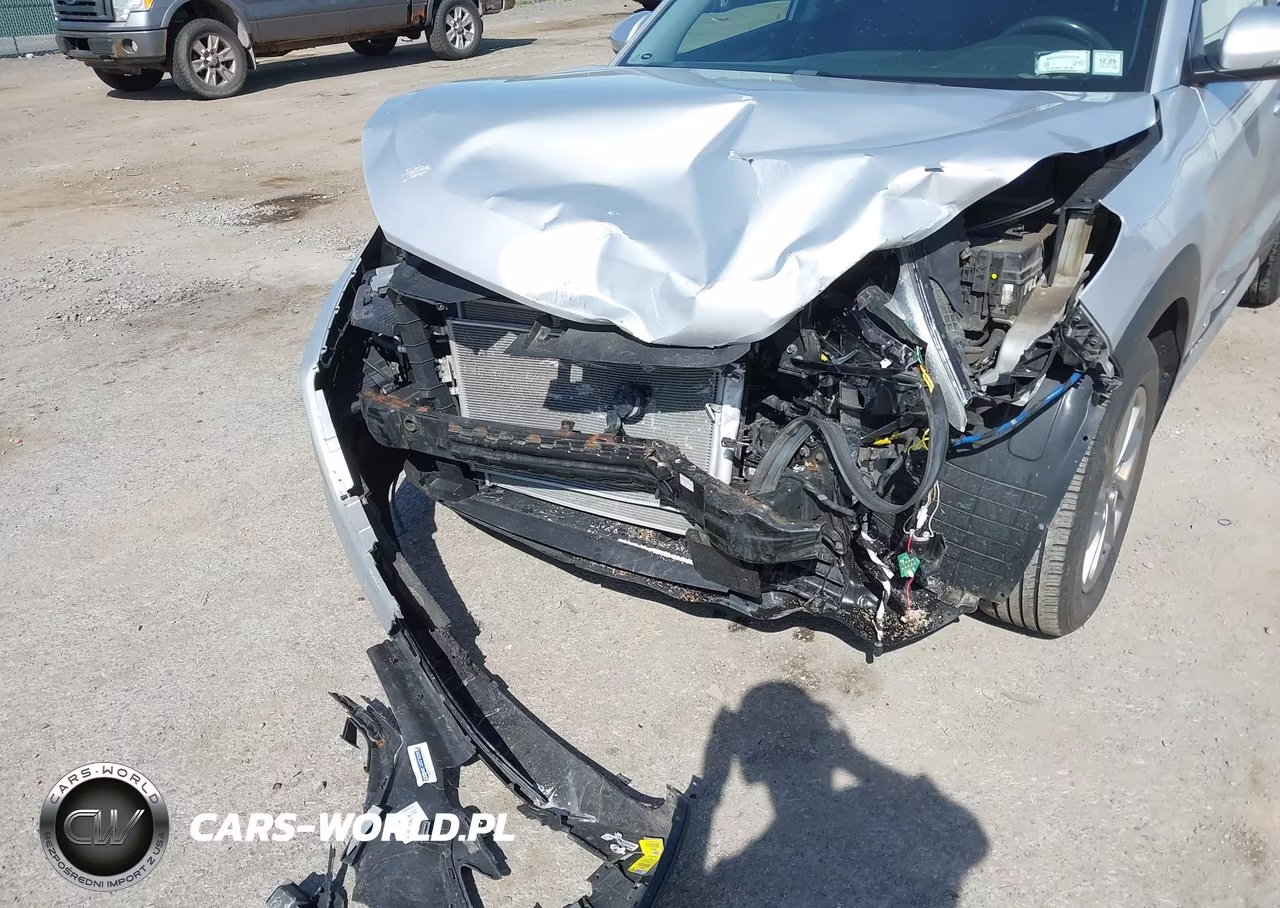 2017 Hyundai Tucson Se Plus VIN:KM8J3CA46HU454896 - 6