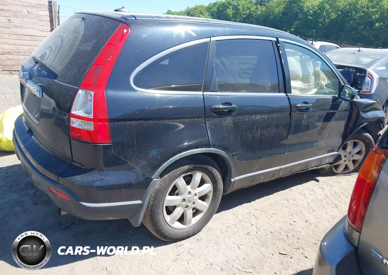 2009 Honda Cr-V Ex-L VIN:JHLRE48759C014461 - 4