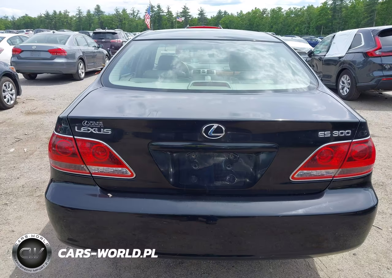 2005 Lexus Es 330 VIN:JTHBA30G455118341 - 17