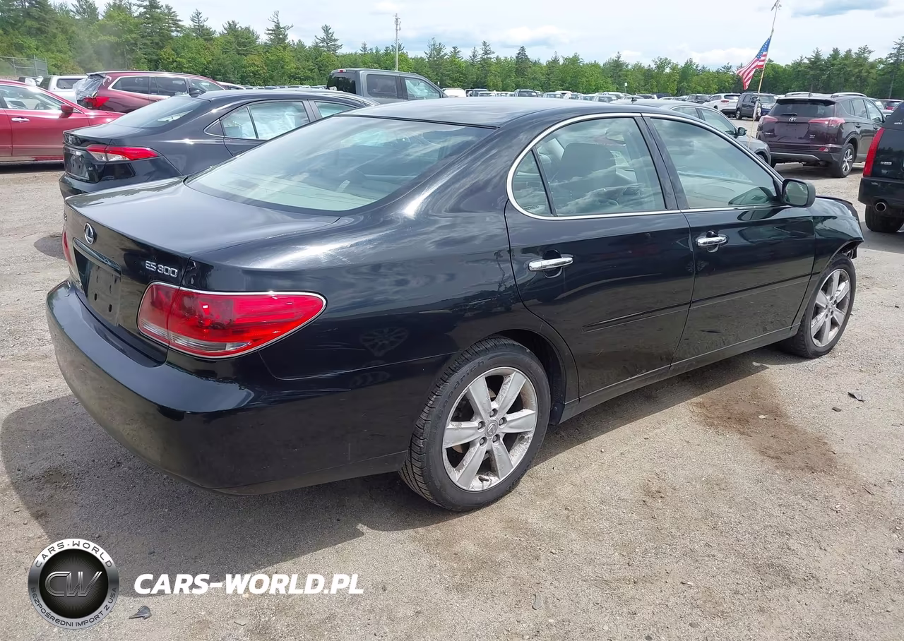 2005 Lexus Es 330 VIN:JTHBA30G455118341 - 4