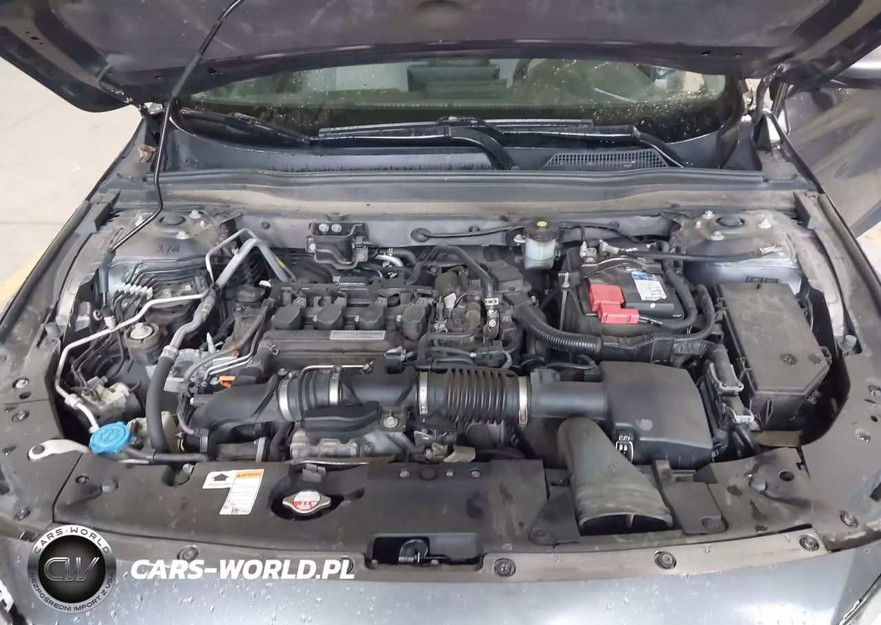 2019 Honda Accord Lx VIN:1HGCV1F1XKA047832 - 10