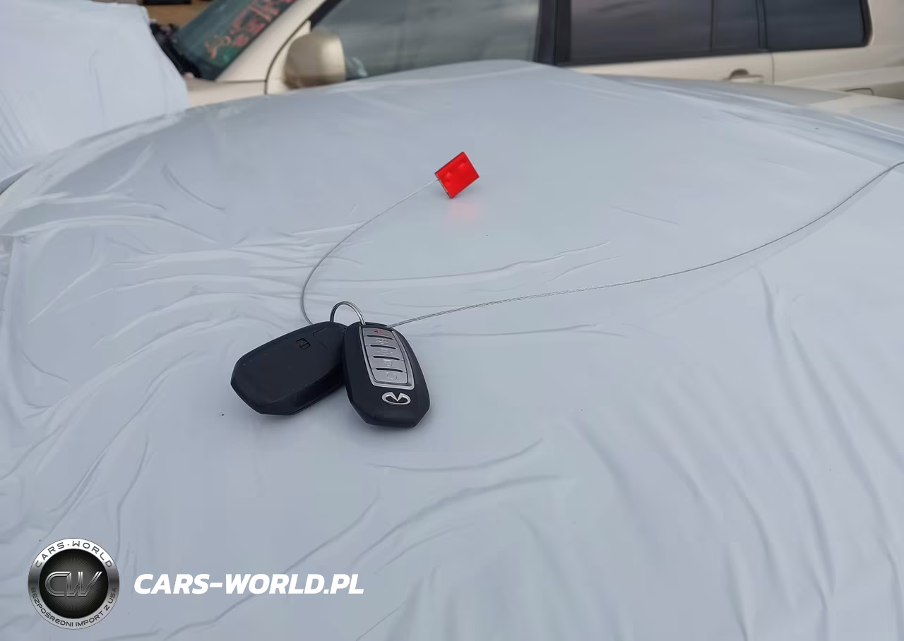 2021 Infiniti Q50 Luxe VIN:JN1EV7BPXMM707196 - 11
