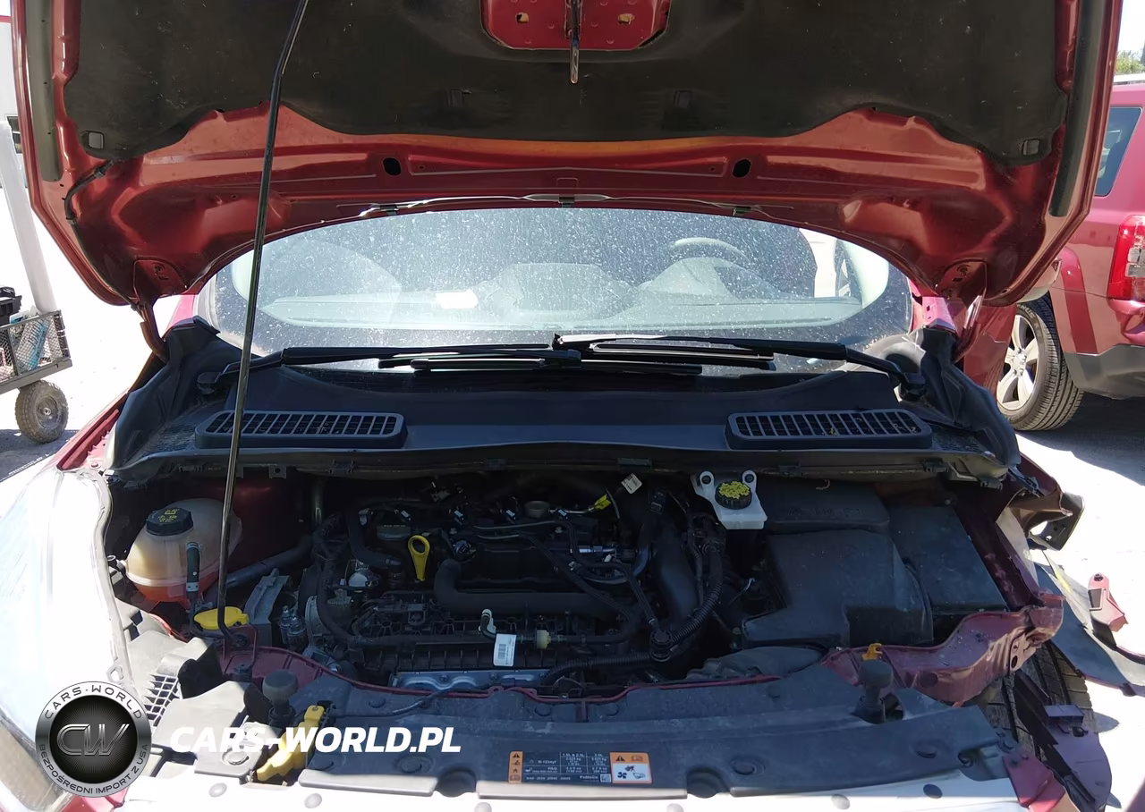 2019 Ford Escape Se VIN:1FMCU0GD3KUA51817 - 10