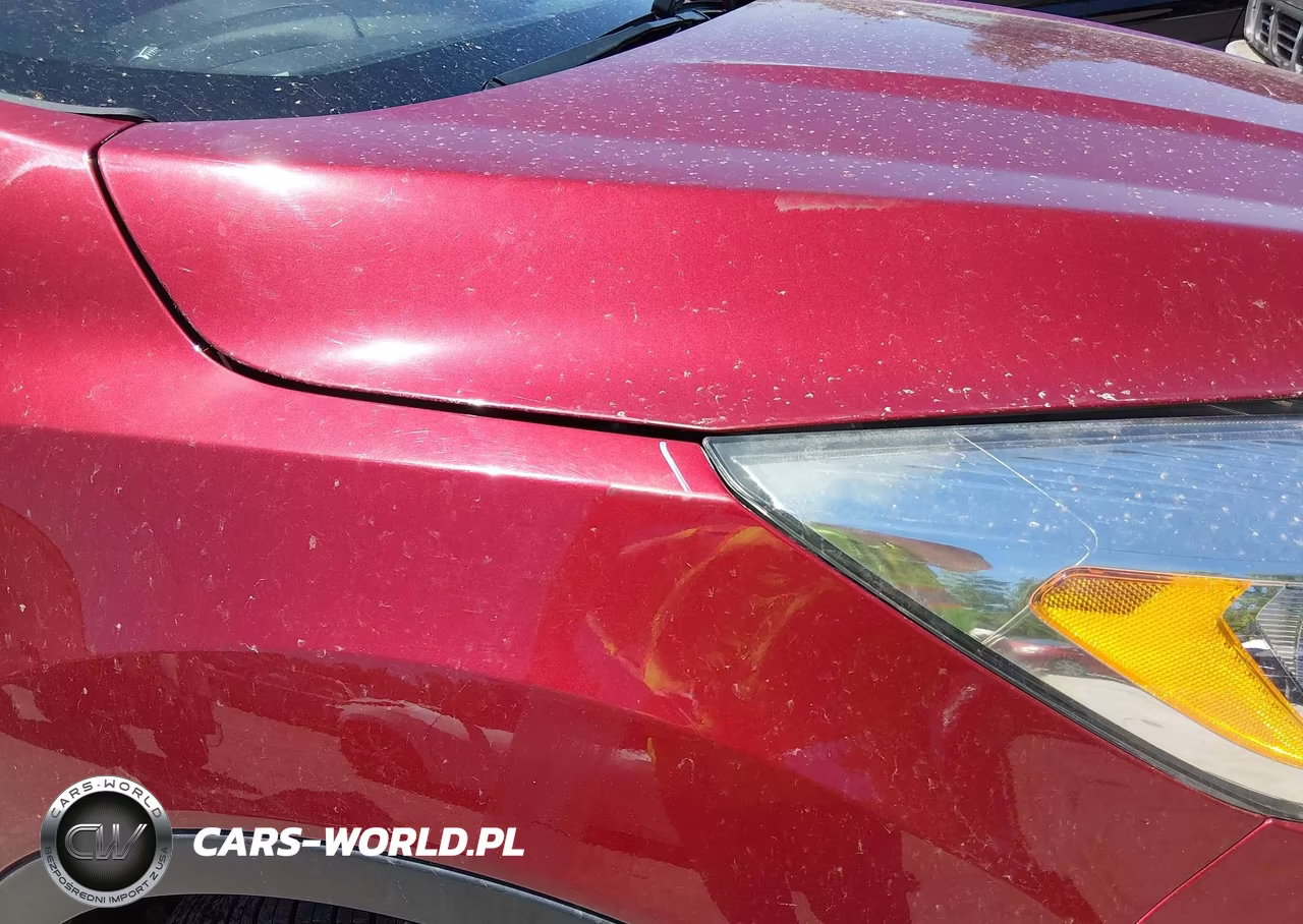 2019 Ford Escape Se VIN:1FMCU0GD3KUA51817 - 19
