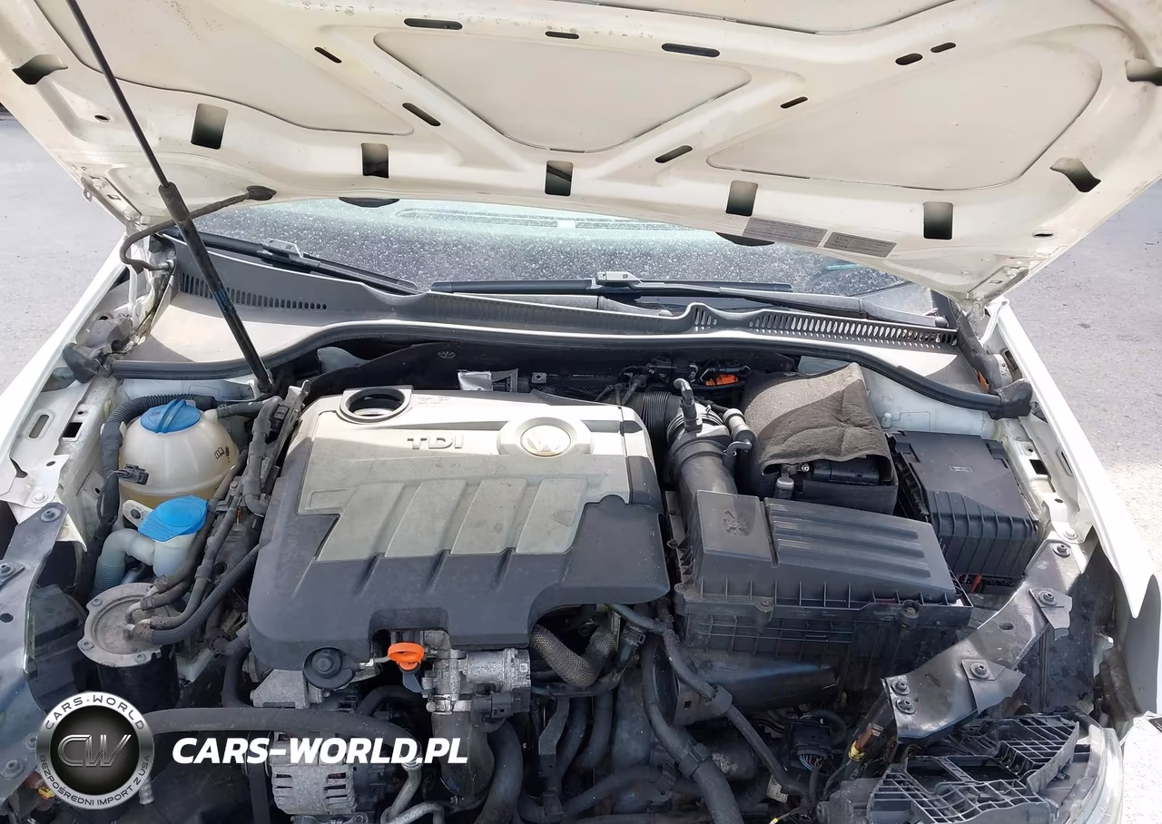 2011 Volkswagen Golf Tdi 4-Door VIN:WVWNM7AJ2BW011432 - 10
