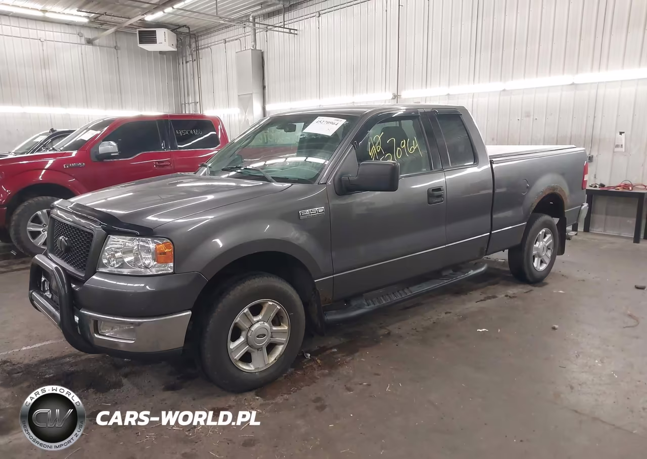 2004 Ford F-150 Fx4-Lariat-Xl-Xlt VIN:1FTPX14504NA19534 - 2
