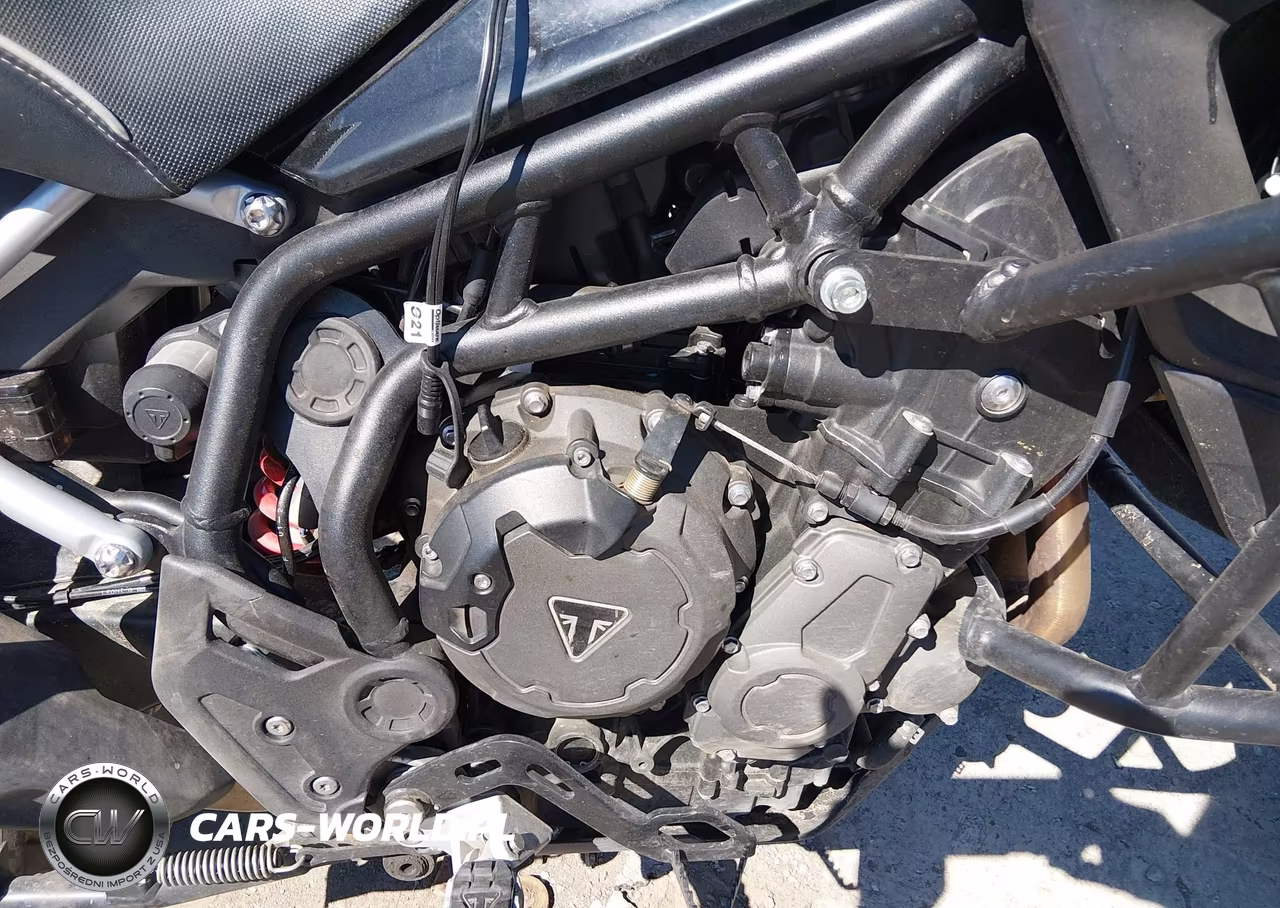 2022 Triumph Motorcycle Tiger 900 Gt Pro VIN:SMTE64DF8NTAW7983 - 8
