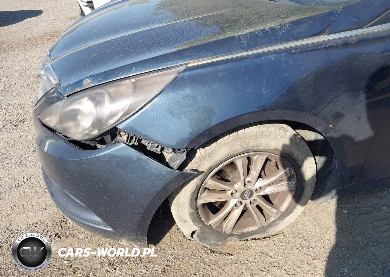 2013 Hyundai Sonata Gls VIN:5NPEB4AC0DH789551 - 16