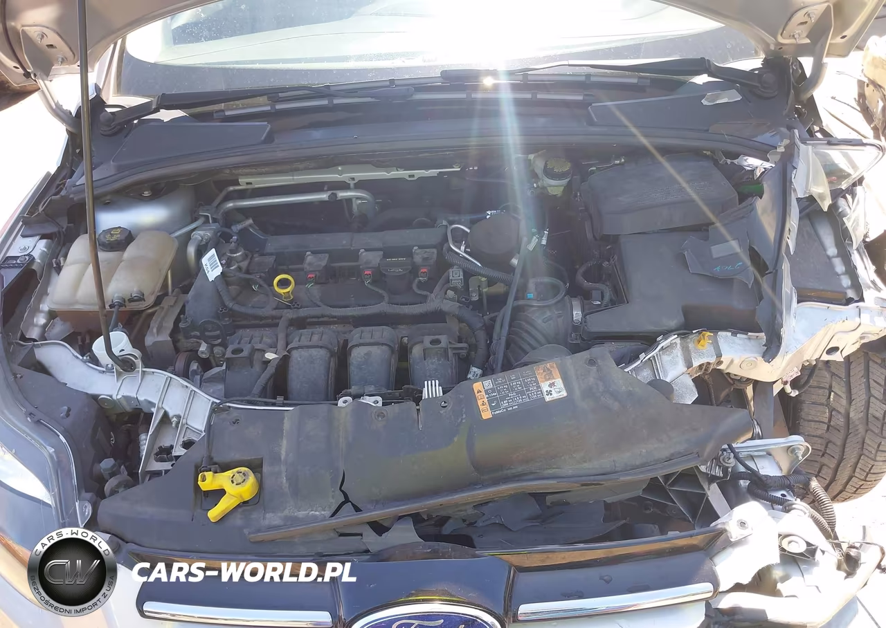 2014 Ford Focus Titanium VIN:1FADP3N2XEL377889 - 10