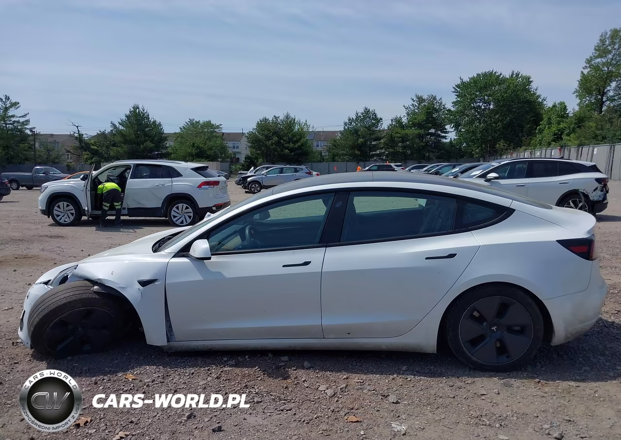 2023 Tesla Model 3 Rear-Wheel Drive VIN:5YJ3E1EA0PF669810 - 15