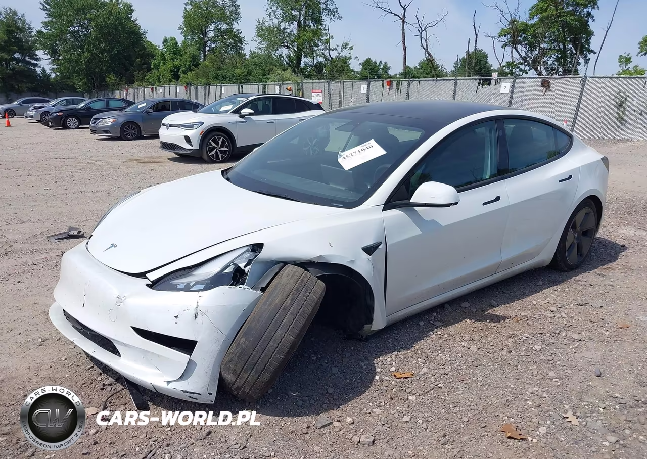 2023 Tesla Model 3 Rear-Wheel Drive VIN:5YJ3E1EA0PF669810 - 2