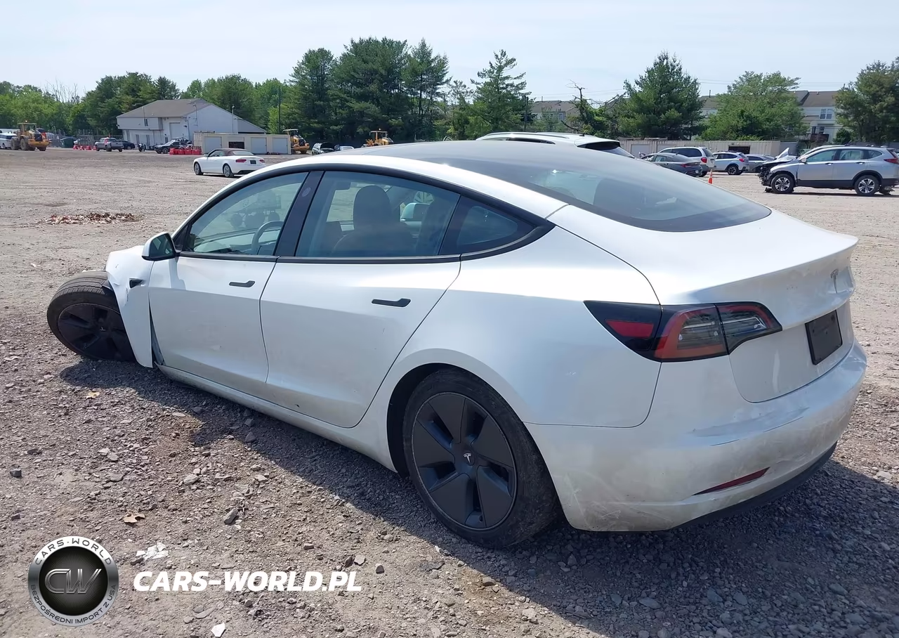 2023 Tesla Model 3 Rear-Wheel Drive VIN:5YJ3E1EA0PF669810 - 3