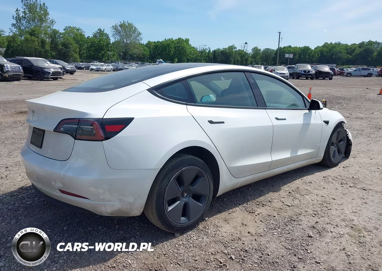 2023 Tesla Model 3 Rear-Wheel Drive VIN:5YJ3E1EA0PF669810 - 4