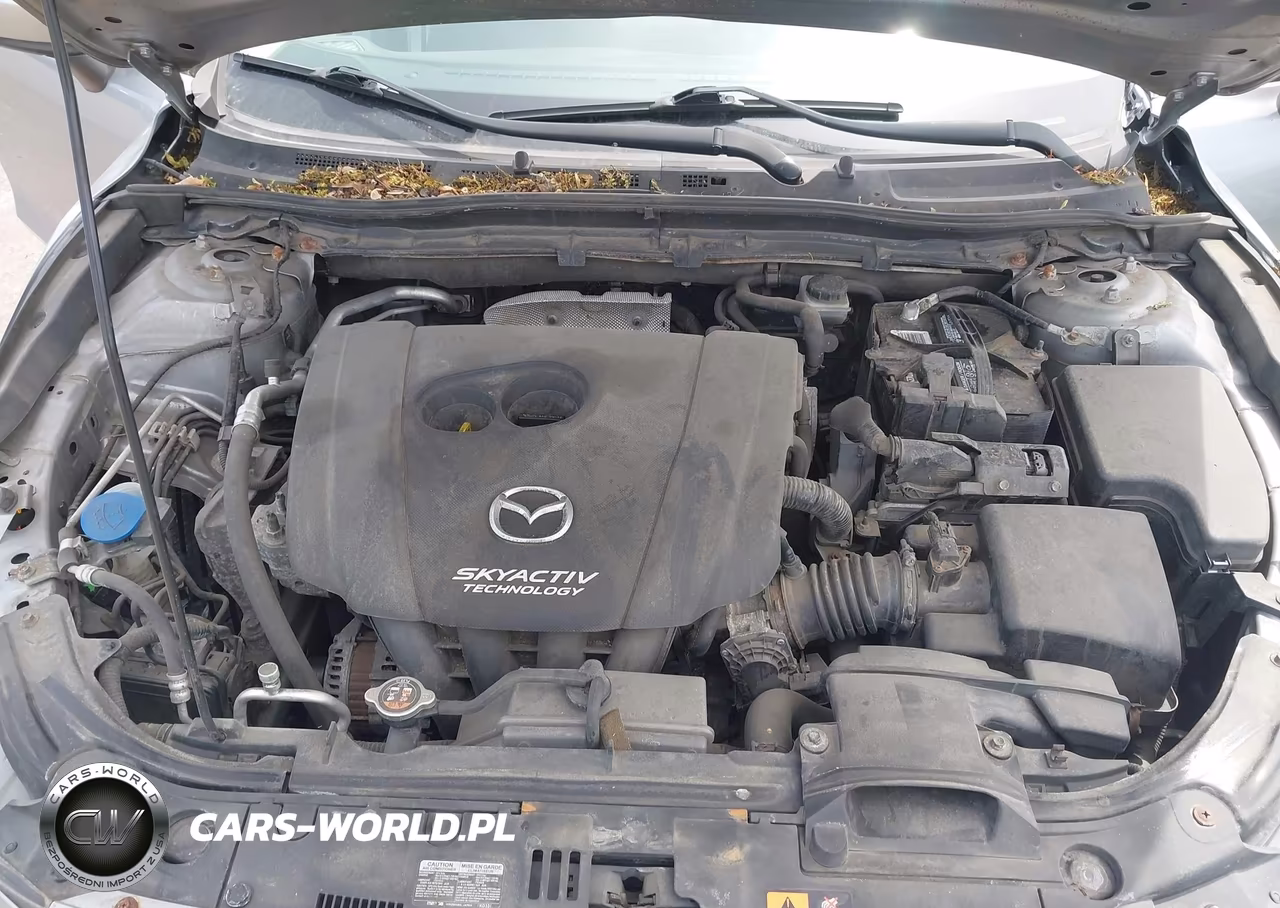 2014 Mazda Mazda3 I Sport VIN:JM1BM1K79E1200650 - 10