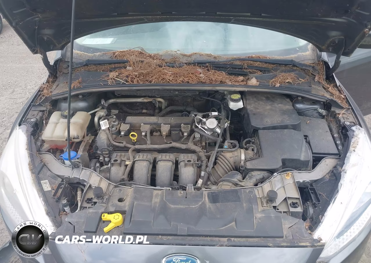 2017 Ford Focus S VIN:1FADP3E22HL322275 - 10