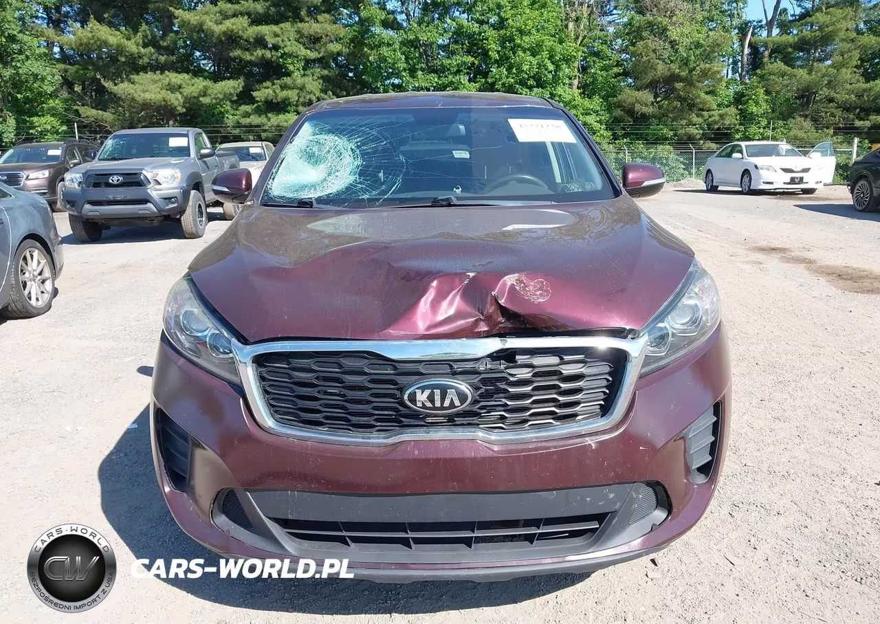 2019 Kia Sorento 2.4L Lx VIN:5XYPGDA38KG478786 - 12