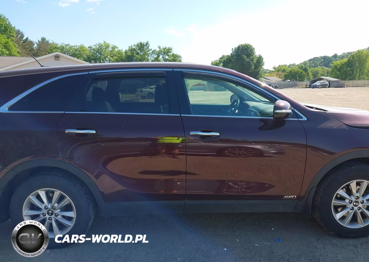 2019 Kia Sorento 2.4L Lx VIN:5XYPGDA38KG478786 - 13