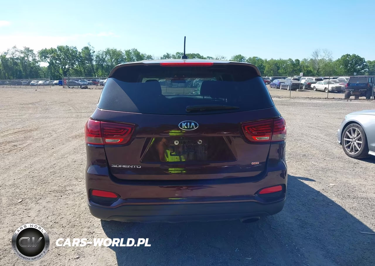 2019 Kia Sorento 2.4L Lx VIN:5XYPGDA38KG478786 - 16