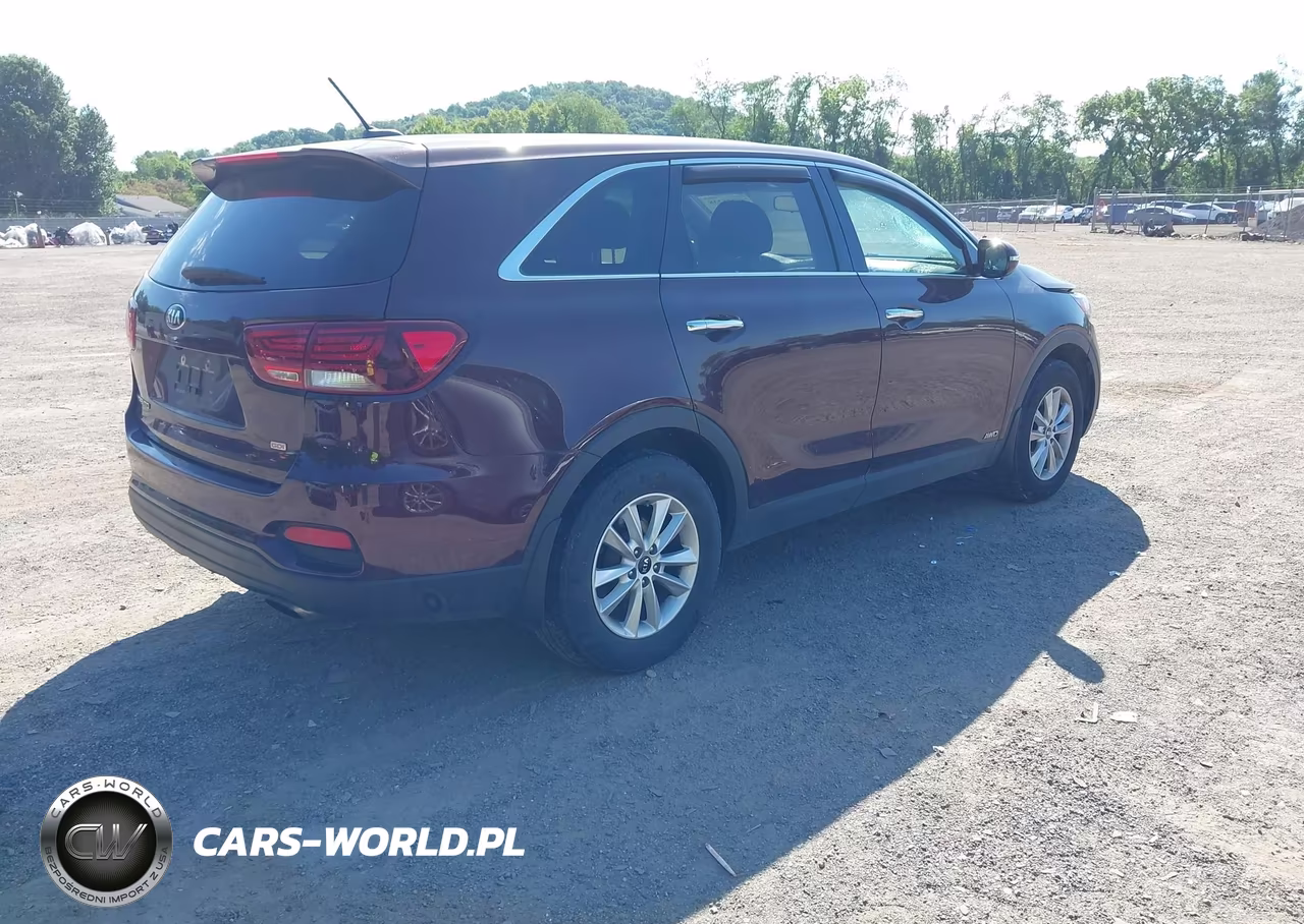 2019 Kia Sorento 2.4L Lx VIN:5XYPGDA38KG478786 - 4
