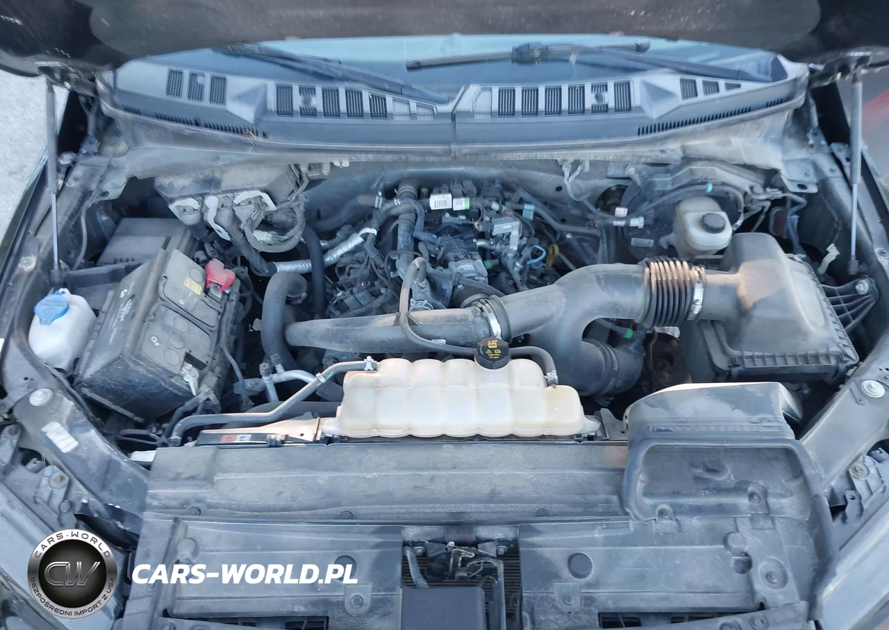 2020 Ford F-150 Xlt VIN:1FTEW1EP3LFB12065 - 10