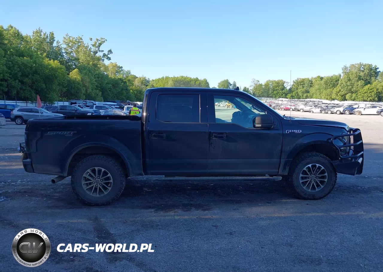 2020 Ford F-150 Xlt VIN:1FTEW1EP3LFB12065 - 13