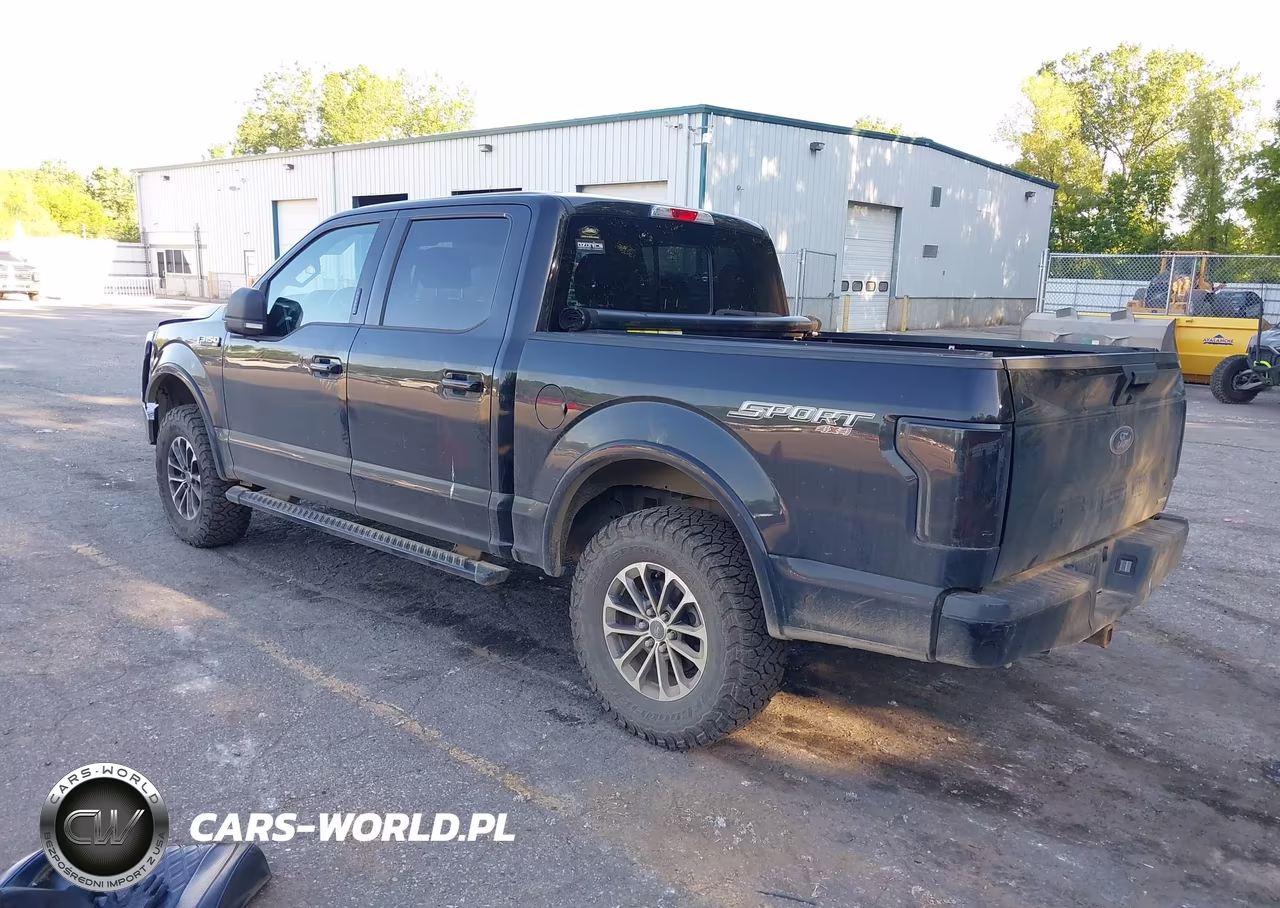 2020 Ford F-150 Xlt VIN:1FTEW1EP3LFB12065 - 3