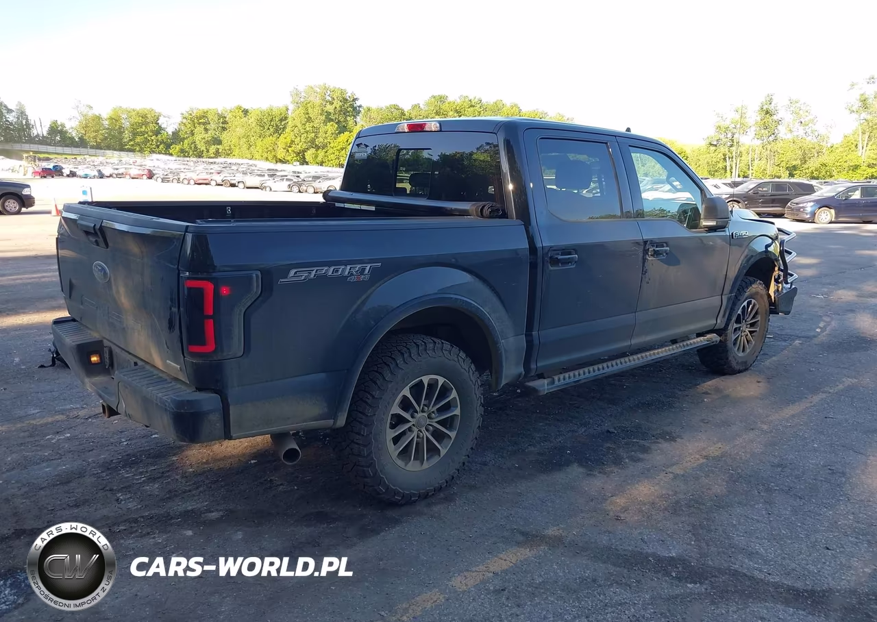 2020 Ford F-150 Xlt VIN:1FTEW1EP3LFB12065 - 4