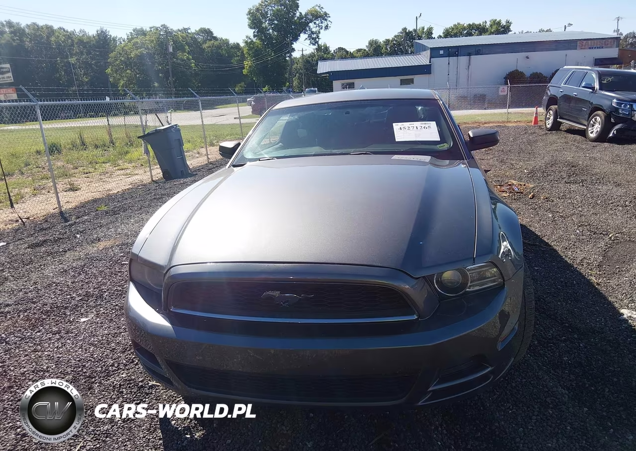 2014 Ford Mustang V6 VIN:1ZVBP8AM8E5207750 - 12