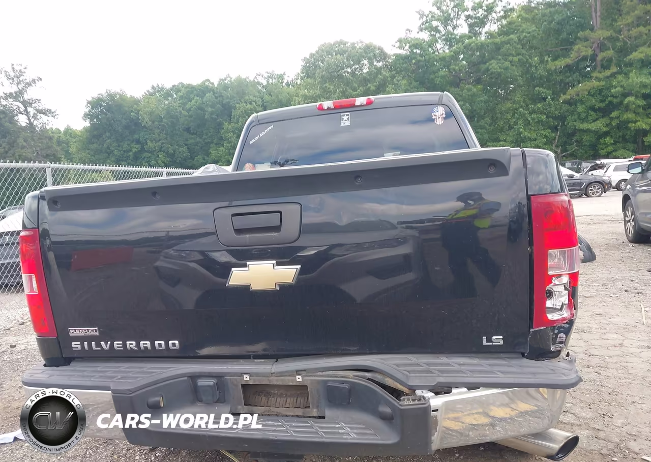 2010 Chevrolet Silverado 1500 Ls VIN:3GCRCREAXAG144124 - 17