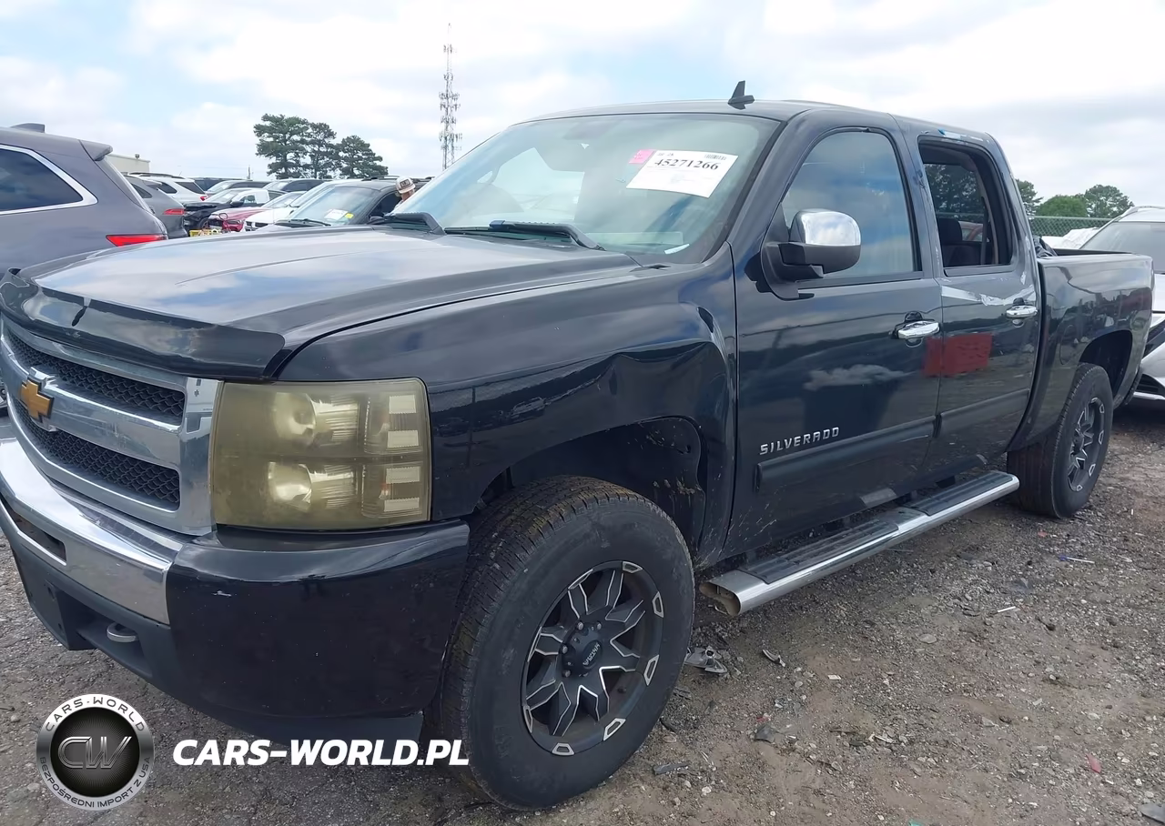 2010 Chevrolet Silverado 1500 Ls VIN:3GCRCREAXAG144124 - 2