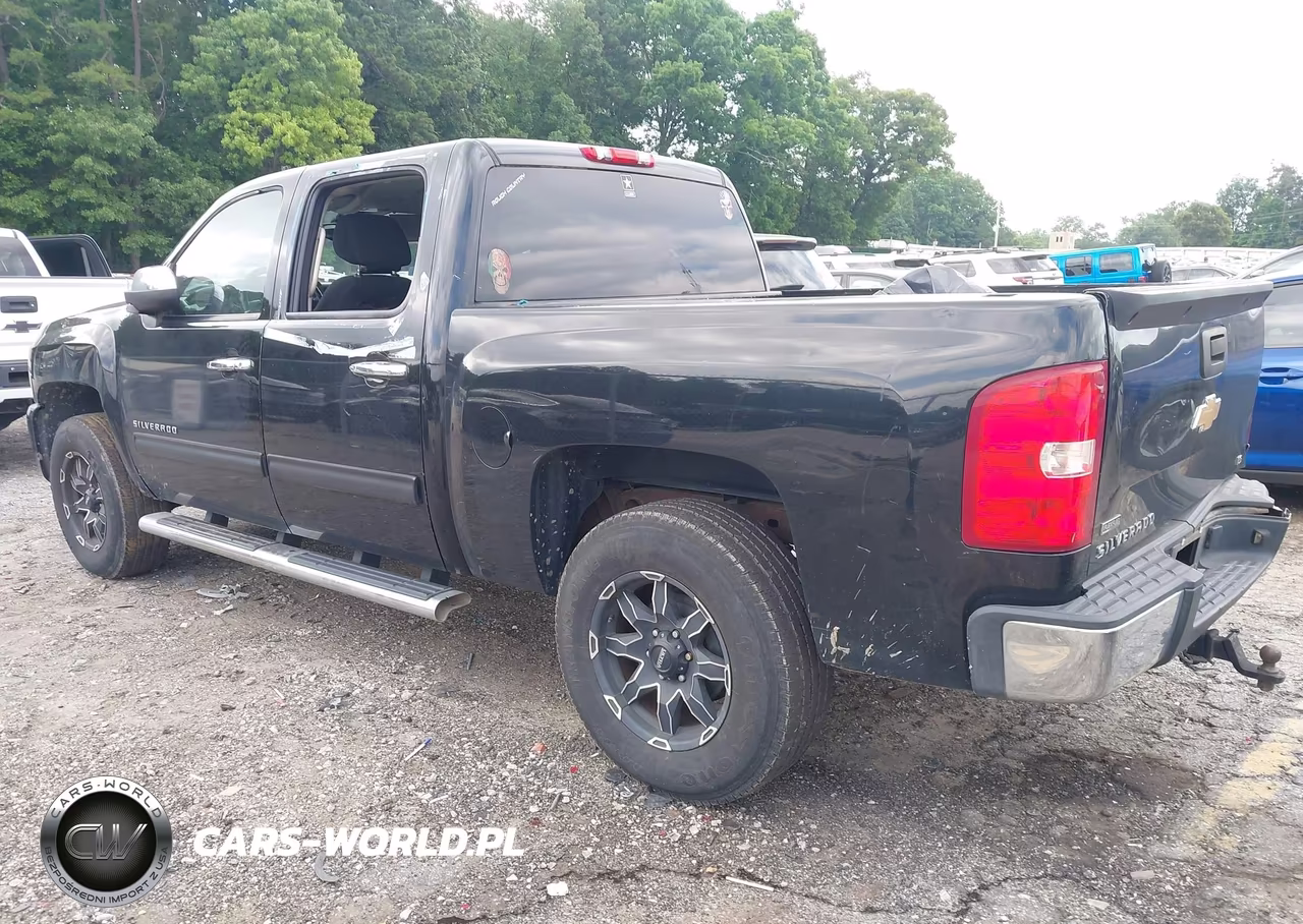 2010 Chevrolet Silverado 1500 Ls VIN:3GCRCREAXAG144124 - 3