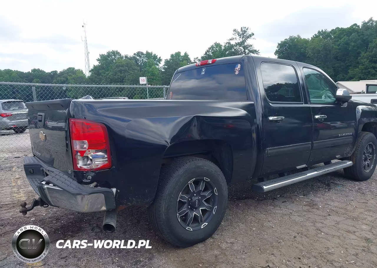 2010 Chevrolet Silverado 1500 Ls VIN:3GCRCREAXAG144124 - 4
