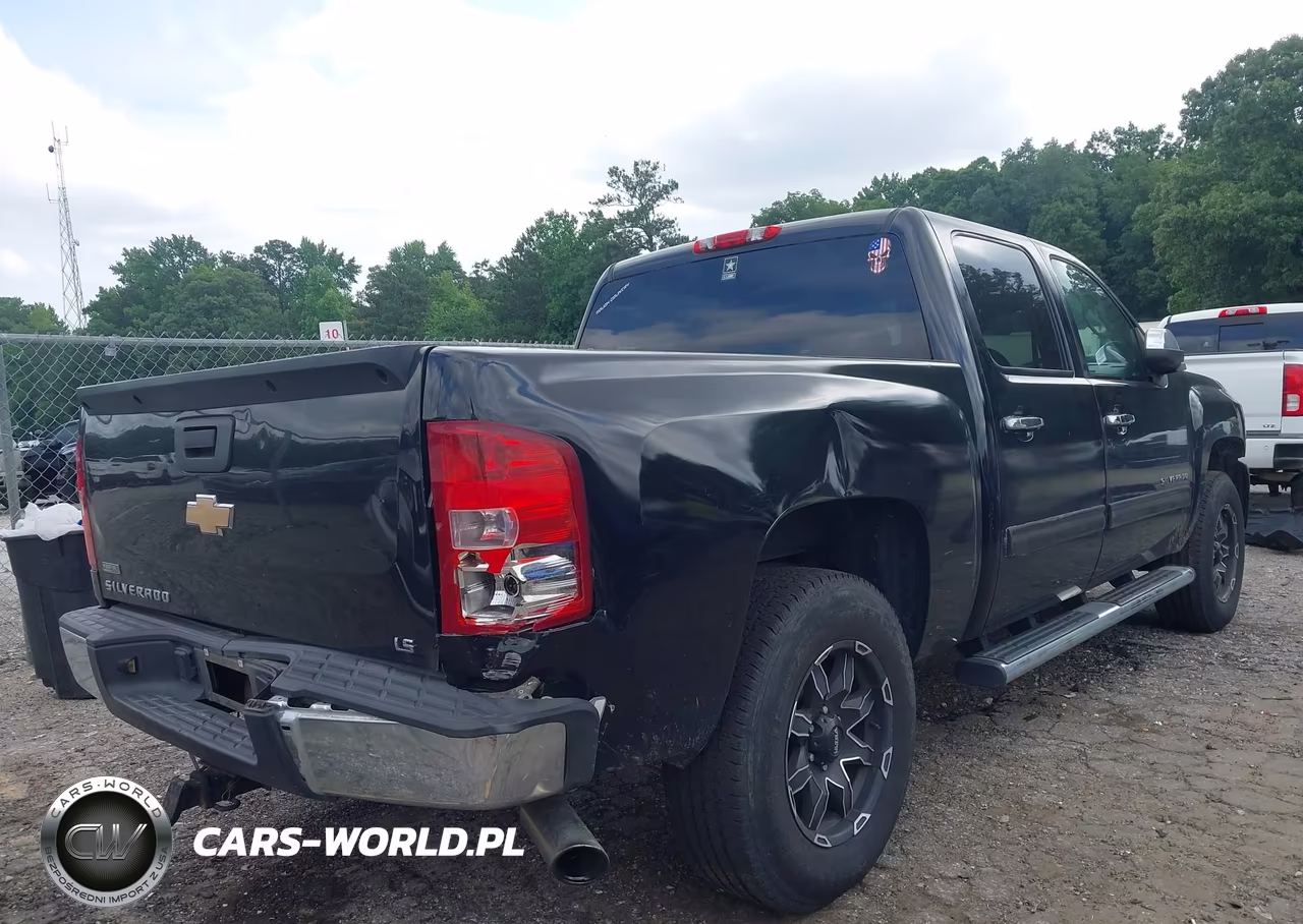 2010 Chevrolet Silverado 1500 Ls VIN:3GCRCREAXAG144124 - 6