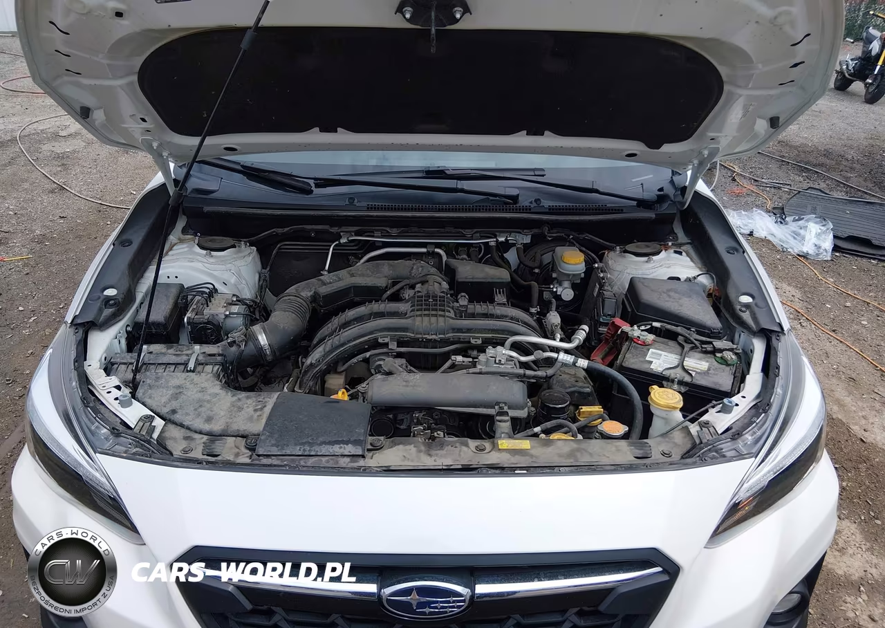2019 Subaru Crosstrek 2.0I Limited VIN:JF2GTAMC0KH213097 - 10