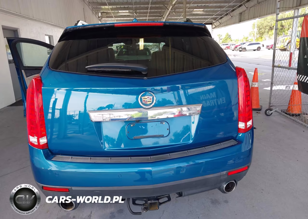 2010 Cadillac Srx Luxury Collection VIN:3GYFNAEY4AS566084 - 16