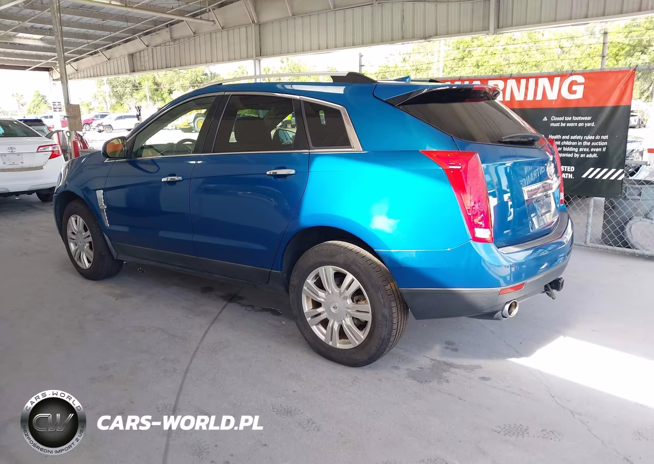 2010 Cadillac Srx Luxury Collection VIN:3GYFNAEY4AS566084 - 3