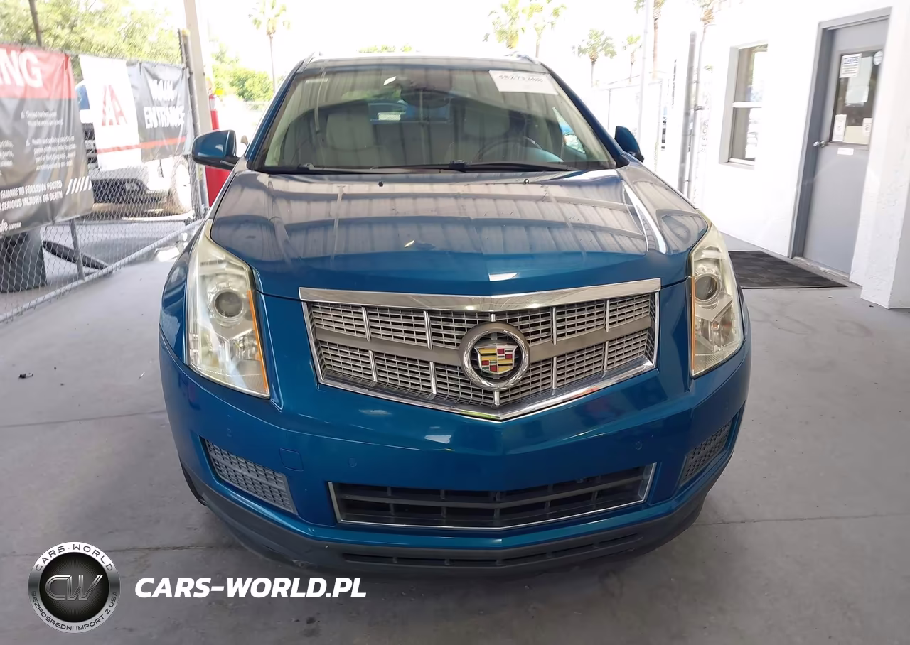 2010 Cadillac Srx Luxury Collection VIN:3GYFNAEY4AS566084 - 6