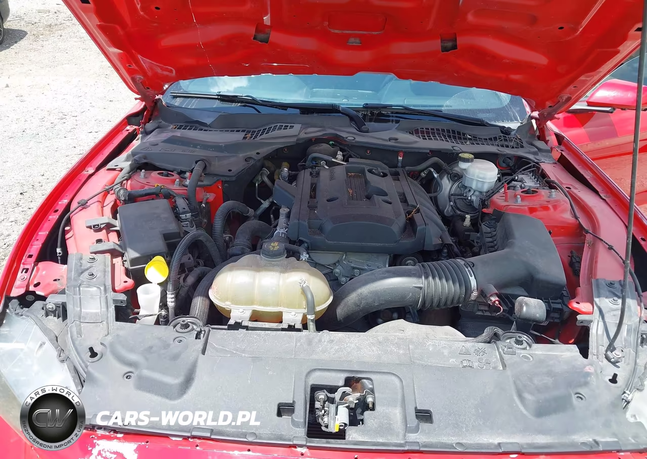 2019 Ford Mustang Ecoboost VIN:1FA6P8TH1K5168750 - 10