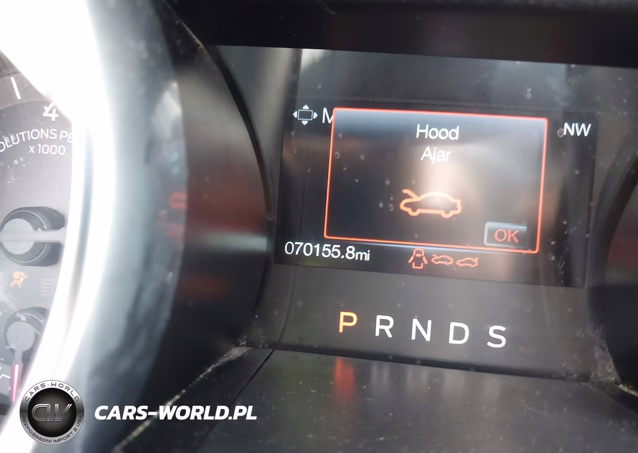 2019 Ford Mustang Ecoboost VIN:1FA6P8TH1K5168750 - 16