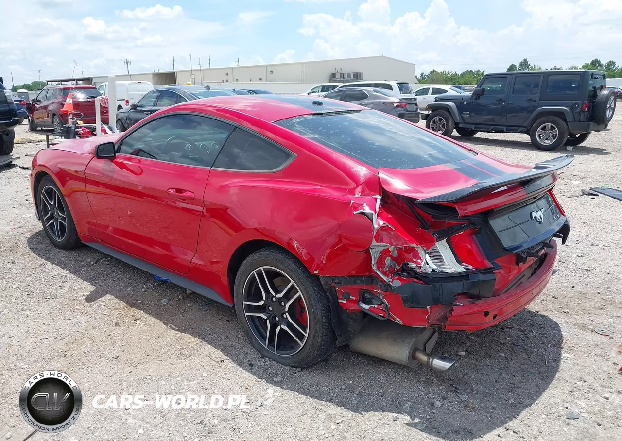 2019 Ford Mustang Ecoboost VIN:1FA6P8TH1K5168750 - 3
