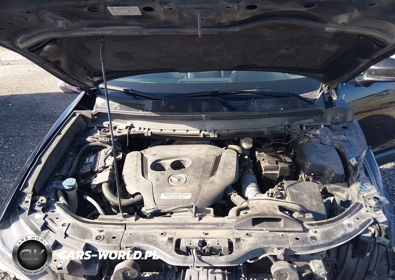 2017 Mazda Cx-9 Touring VIN:JM3TCACY0H0137731 - 10