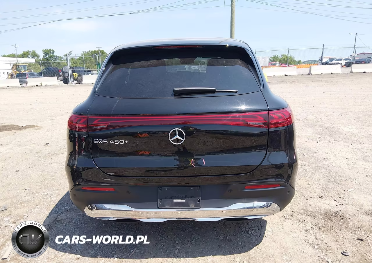 2023 Mercedes-Benz Eqs 450+ Suv VIN:4JGDM2DB4PA028509 - 16