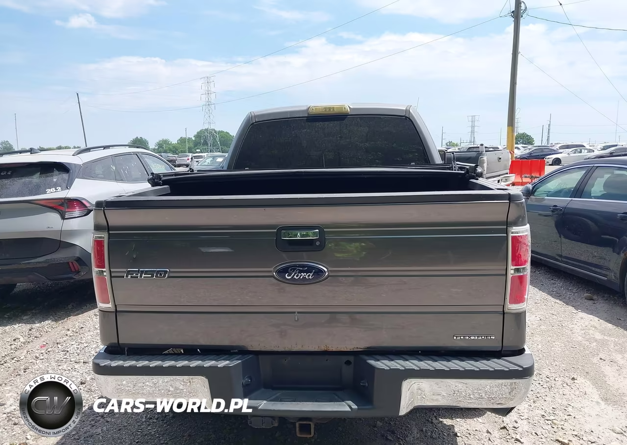 2013 Ford F-150 Fx4-Lariat-Stx-Xl-Xlt VIN:1FTFX1EF2DFA51883 - 16
