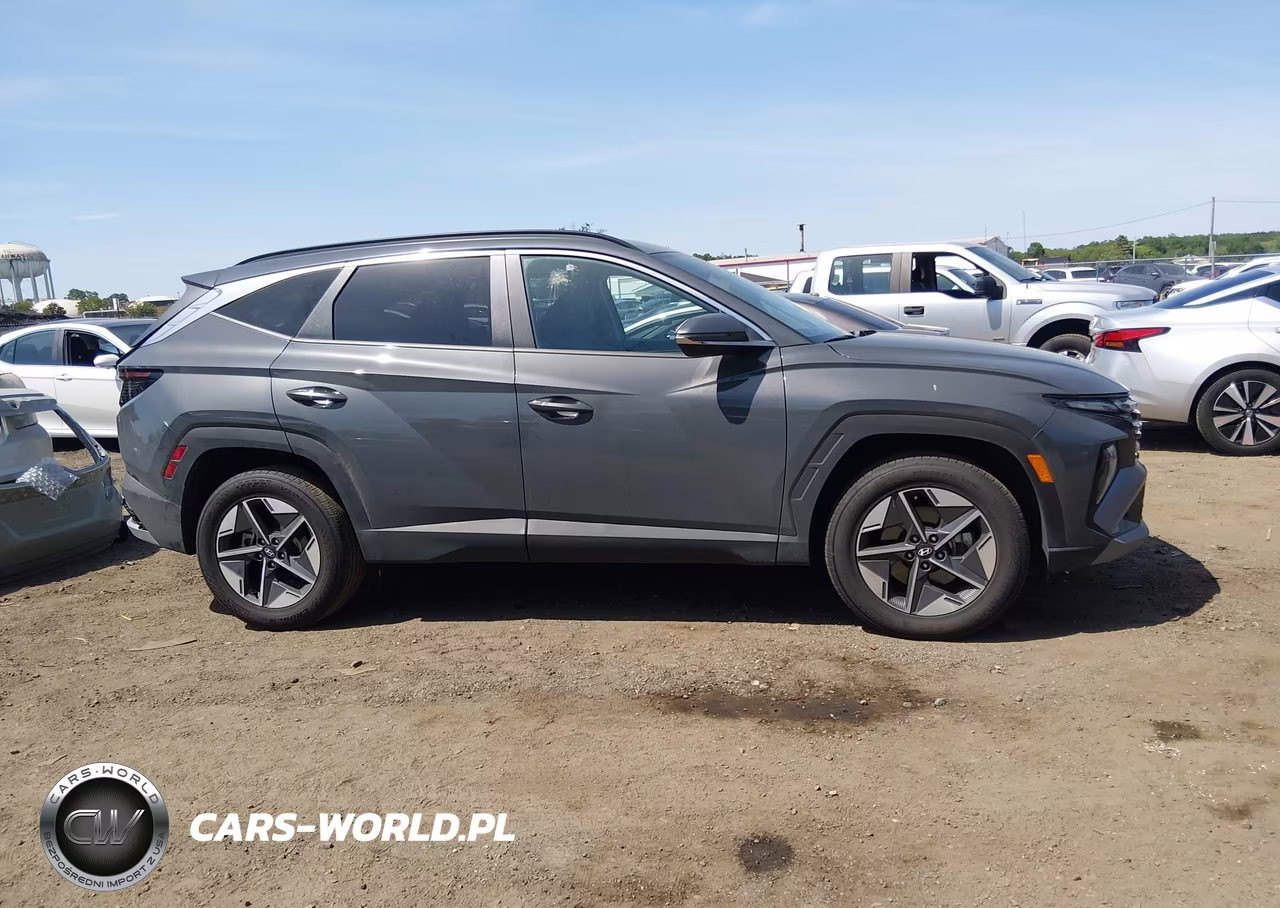2025 Hyundai Tucson Sel Convenience VIN:5NMJCCDE8SH567272 - 13