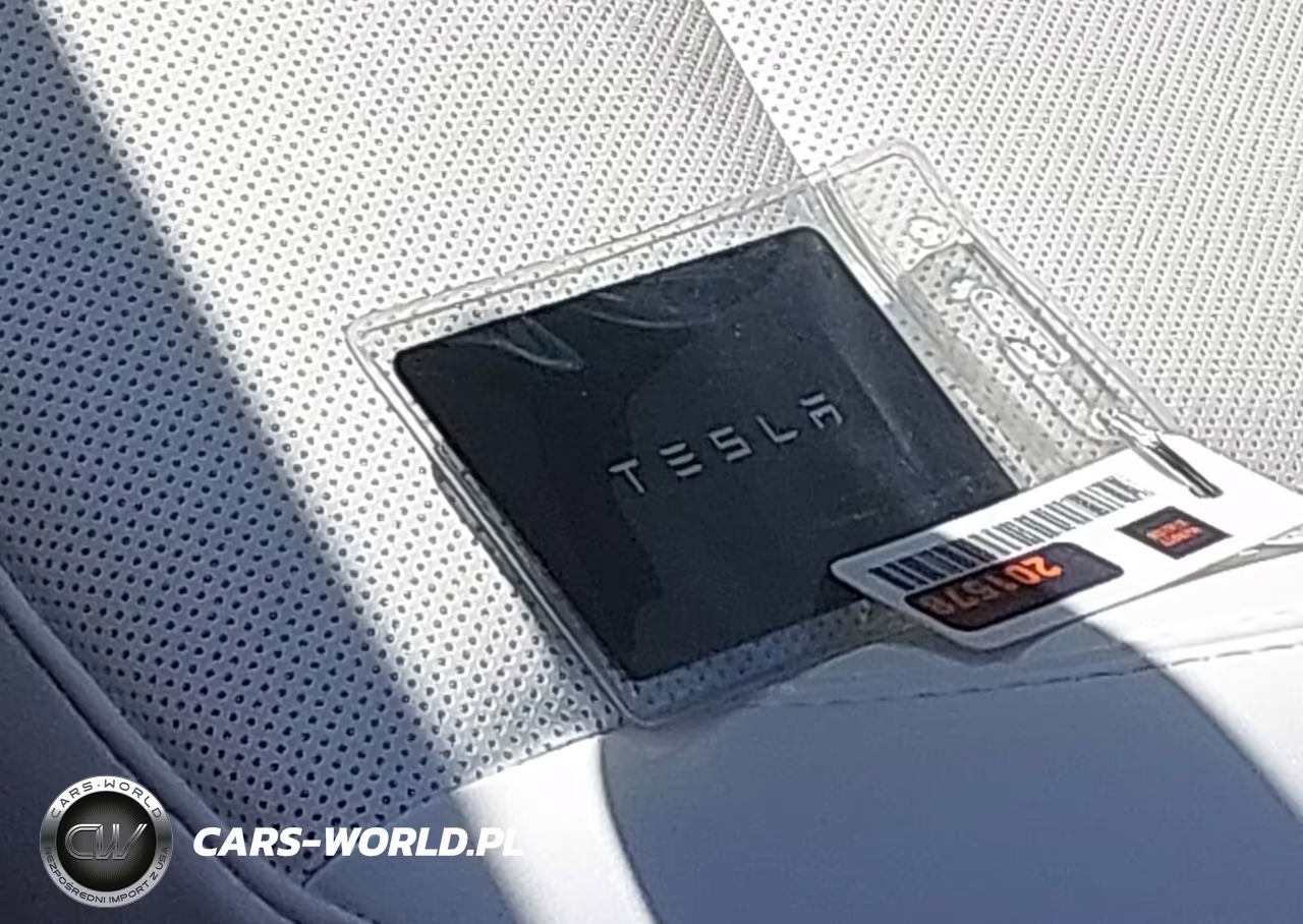 2025 Tesla Model 3 Long Range Rear-Wheel Drive-Standard Rear-Wheel Drive VIN:5YJ3E1EAXSF030407 - 11
