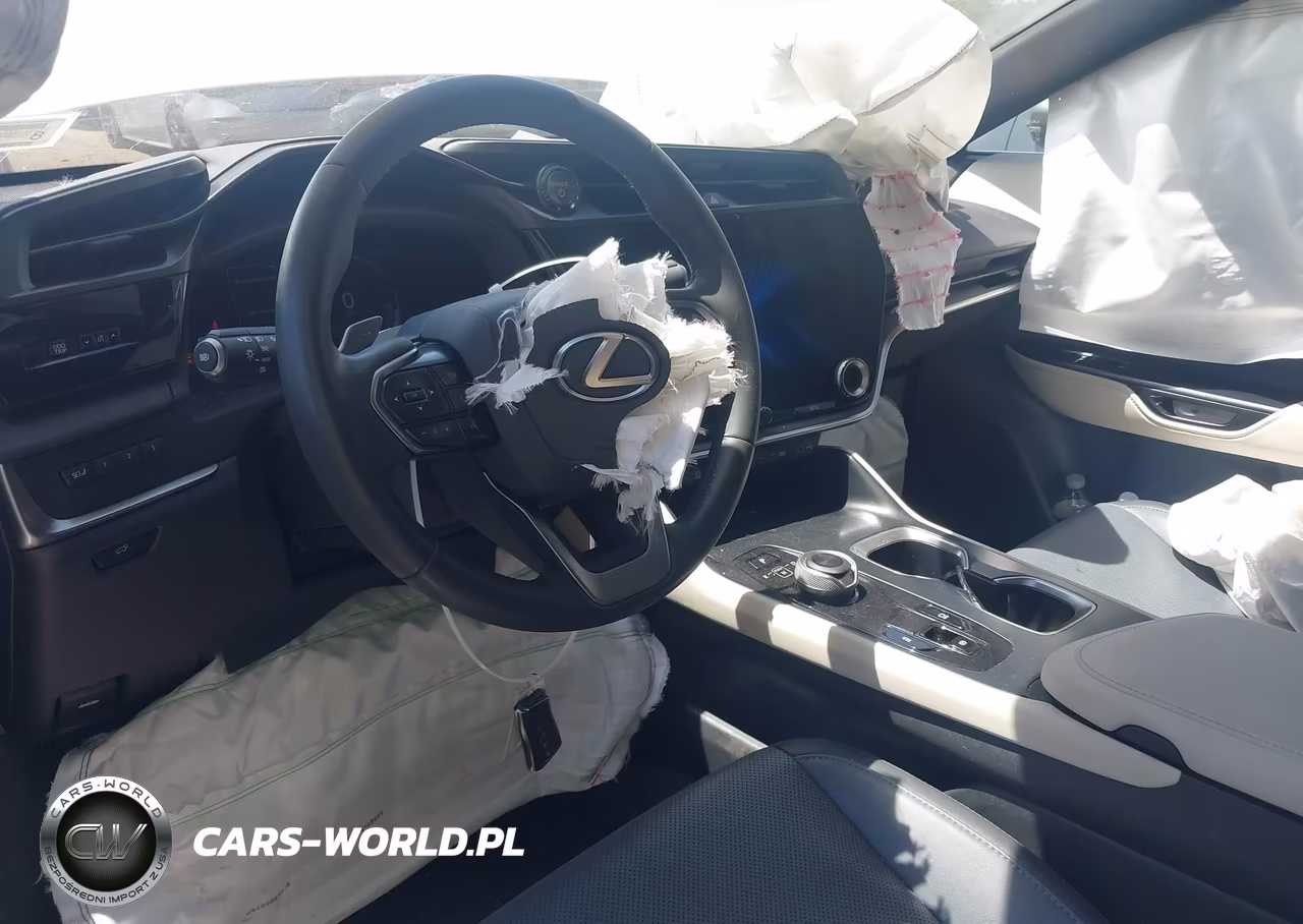 2024 Lexus Rz 300E Premium VIN:JTJABABB6RA001130 - 5