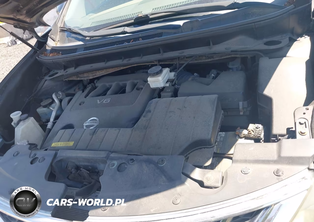 2011 Nissan Murano Sv VIN:JN8AZ1MW0BW181992 - 10