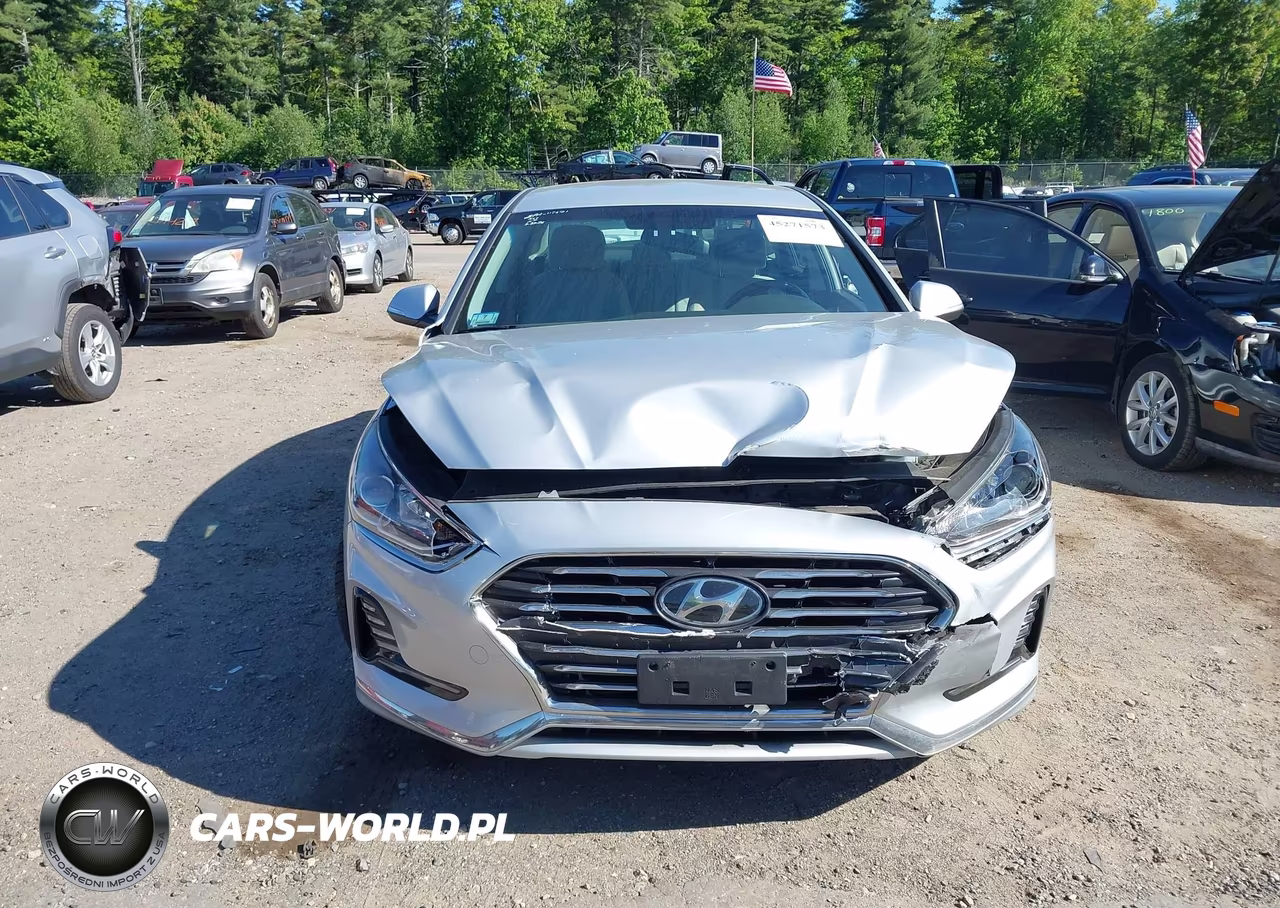 2019 Hyundai Sonata Hybrid Se VIN:KMHE24L39KA091775 - 11
