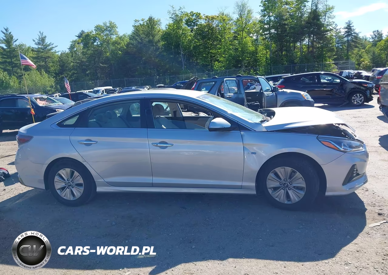 2019 Hyundai Sonata Hybrid Se VIN:KMHE24L39KA091775 - 12